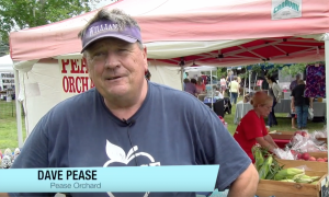  Pease Orchard